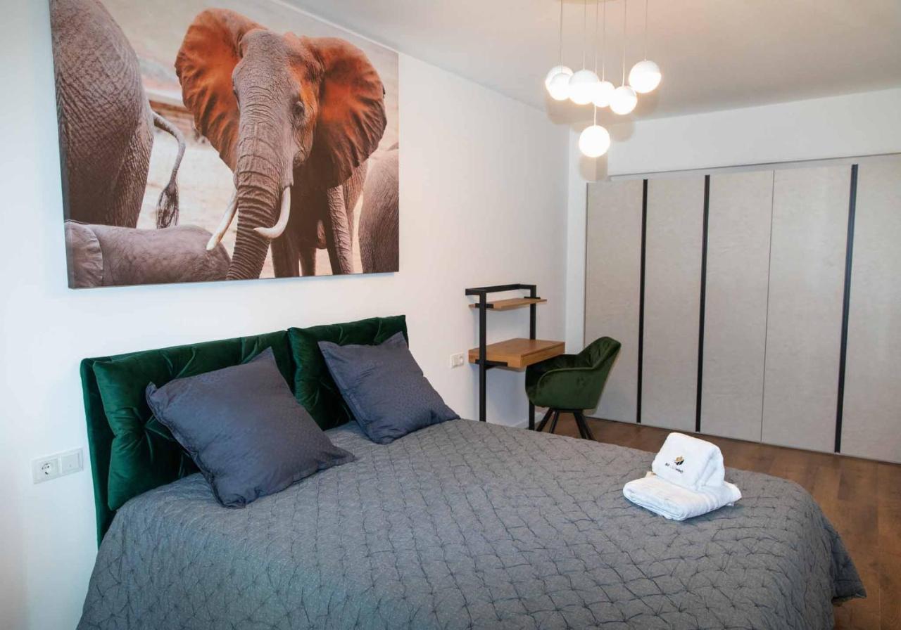 Bg Luximmo Apartments Κλουζ-Ναπόκα Εξωτερικό φωτογραφία